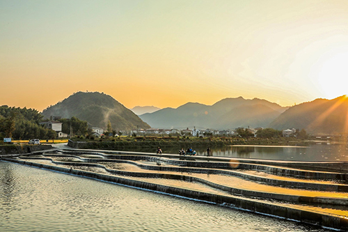 稻花香里“畫”聯(lián)盟